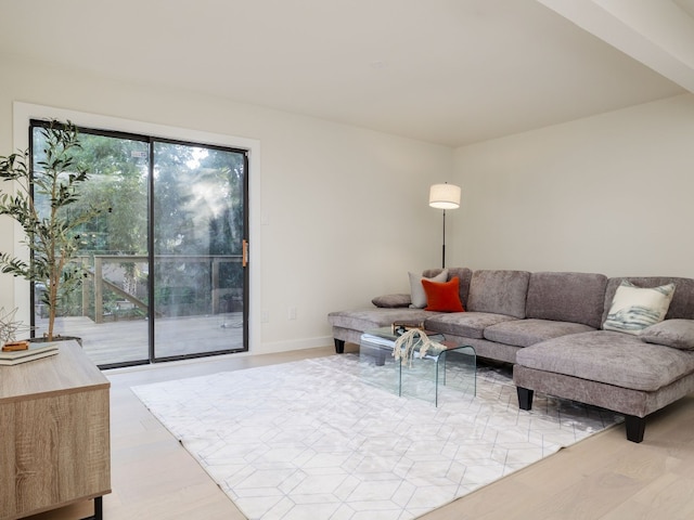 living room featuring light hardwood / wood-style floors