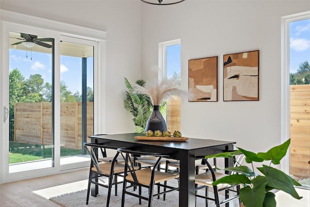 dining space with a wealth of natural light and ceiling fan