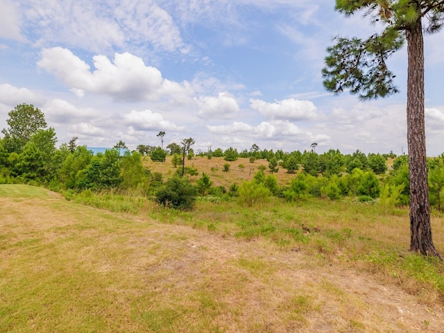 view of nature featuring a rural view