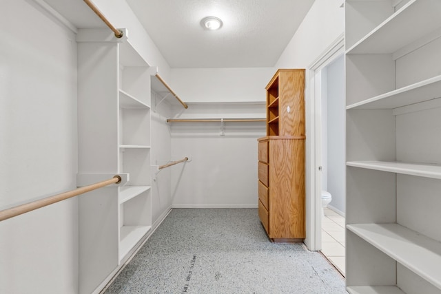 view of walk in closet