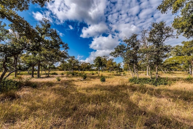 205 Mt Gainor Rd, Dripping Springs, TX 78620