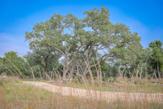 205 Mt Gainor Rd, Dripping Springs, TX 78620