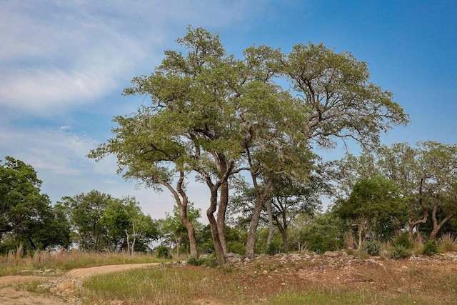 205 Mt Gainor Rd, Dripping Springs, TX 78620