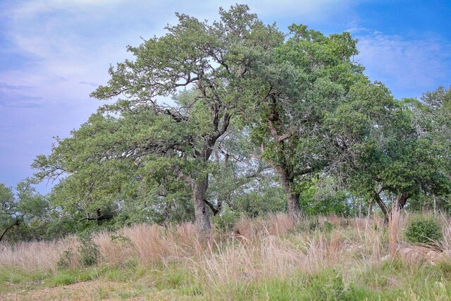 205 Mt Gainor Rd, Dripping Springs, TX 78620