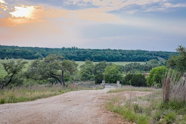 205 Mt Gainor Rd, Dripping Springs, TX 78620