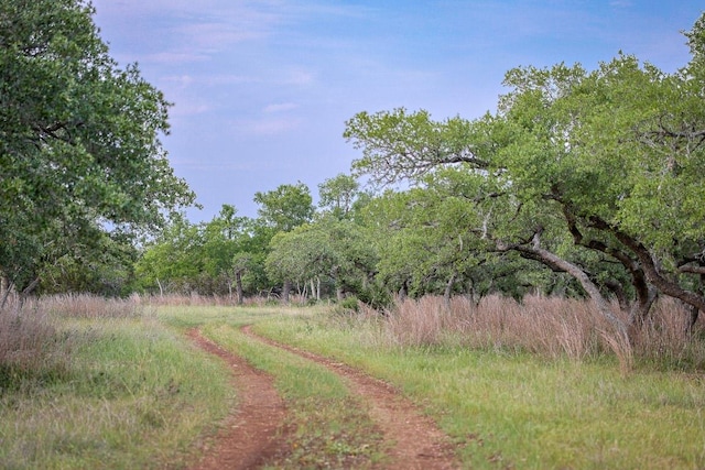 205 Mt Gainor Rd, Dripping Springs, TX 78620