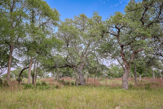 205 Mt Gainor Rd, Dripping Springs, TX 78620