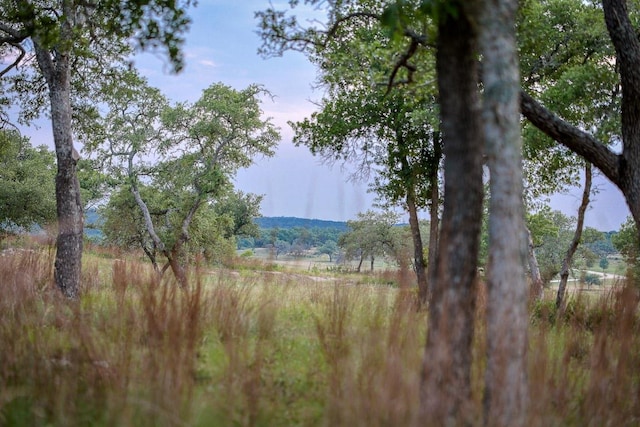 205 Mt Gainor Rd, Dripping Springs, TX 78620