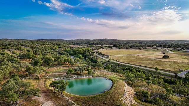 205 Mt Gainor Rd, Dripping Springs, TX 78620