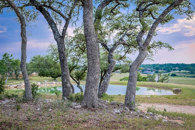 205 Mt Gainor Rd, Dripping Springs, TX 78620