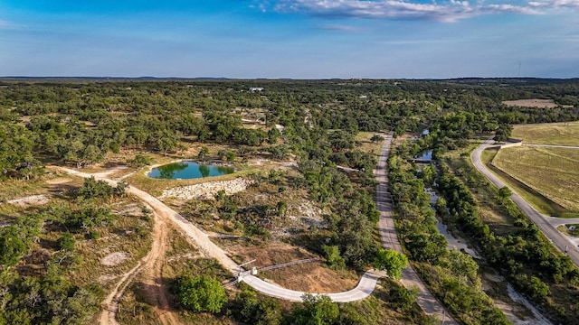 205 Mt Gainor Rd, Dripping Springs, TX 78620