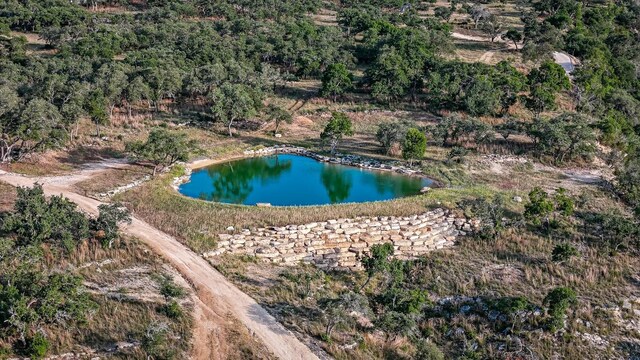 205 Mt Gainor Rd, Dripping Springs, TX 78620