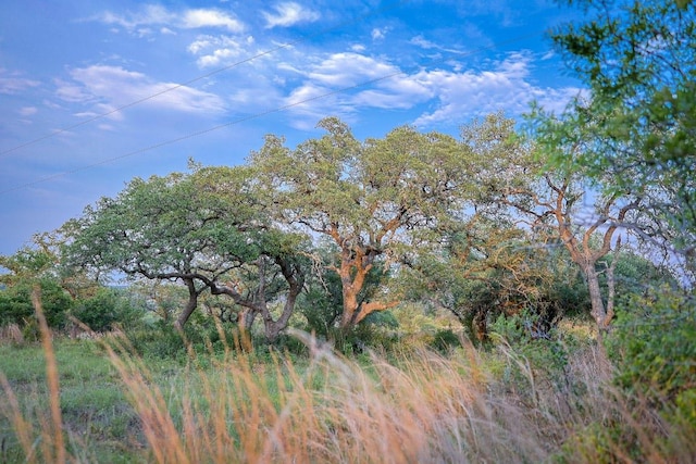 205 Mt Gainor Rd, Dripping Springs, TX 78620