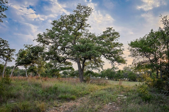 205 Mt Gainor Rd, Dripping Springs, TX 78620