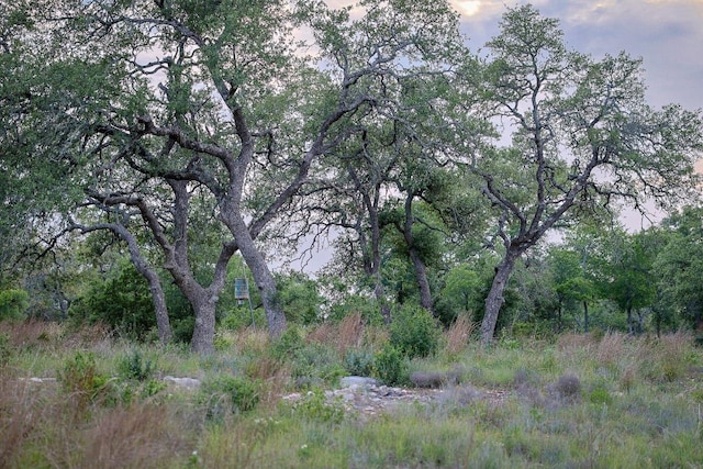 205 Mt Gainor Rd, Dripping Springs, TX 78620
