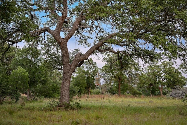 205 Mt Gainor Rd, Dripping Springs, TX 78620
