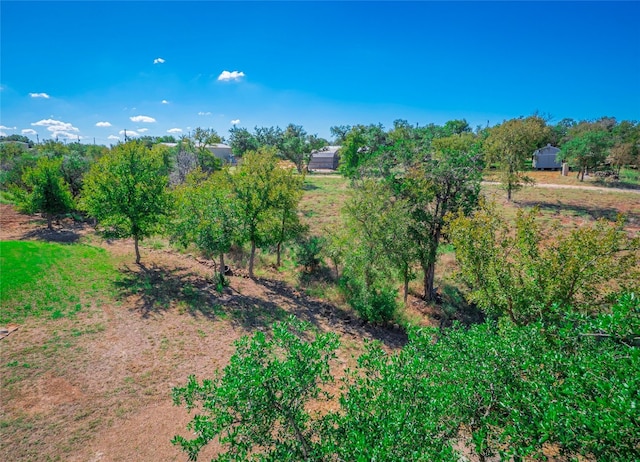 view of nature with a rural view