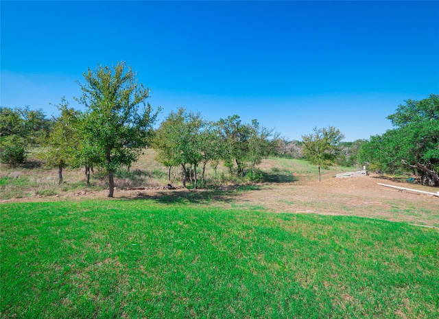 view of yard featuring a rural view