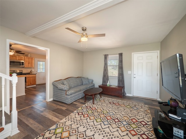 living room with ceiling fan and dark hardwood / wood-style flooring