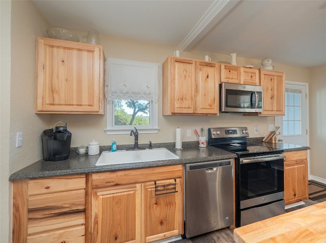 kitchen with a wealth of natural light, wood-type flooring, appliances with stainless steel finishes, and sink