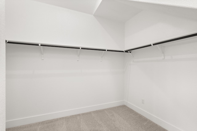 spacious closet featuring carpet floors