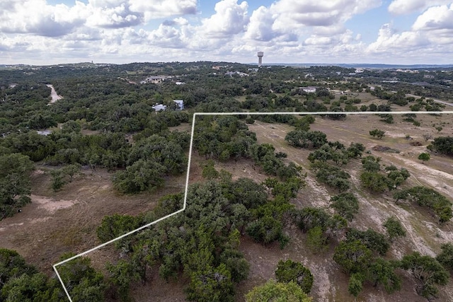 4525 Bell Springs Rd, Dripping Springs, TX 78620 - bird's eye view