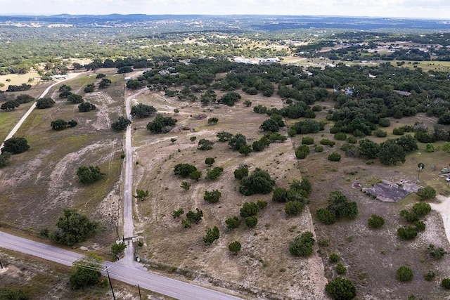 4525 Bell Springs Rd, Dripping Springs, TX 78620 - drone / aerial view