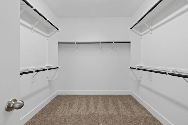 walk in closet with carpet floors