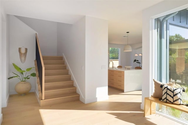 stairway featuring sink and hardwood / wood-style flooring