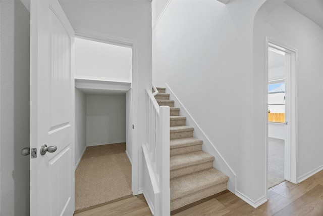 stairs with hardwood / wood-style flooring