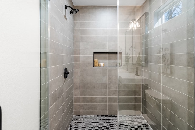 bathroom with a shower with shower door