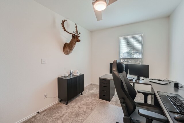 office with light colored carpet