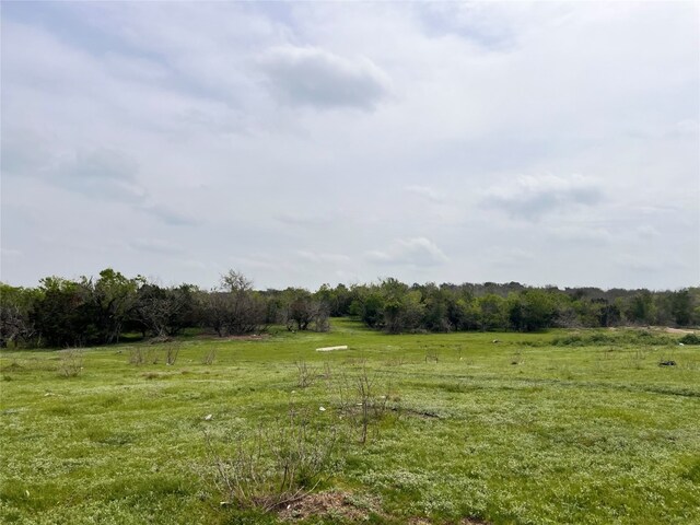 view of yard featuring a rural view