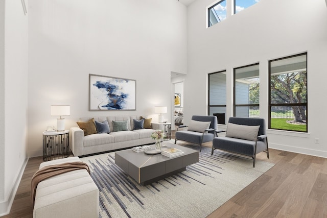 living room featuring a high ceiling and wood-type flooring