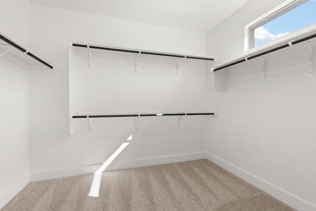 walk in closet featuring carpet flooring