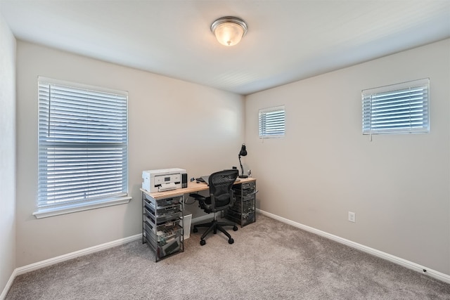 office featuring light colored carpet