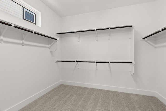 walk in closet featuring carpet