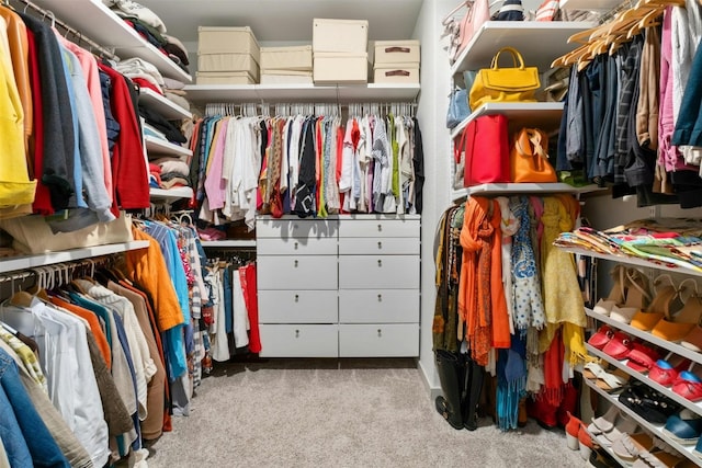 walk in closet with light carpet