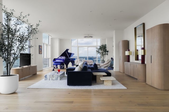 living room featuring light hardwood / wood-style floors