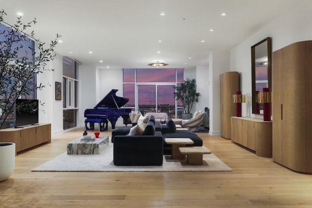 living room featuring light hardwood / wood-style floors