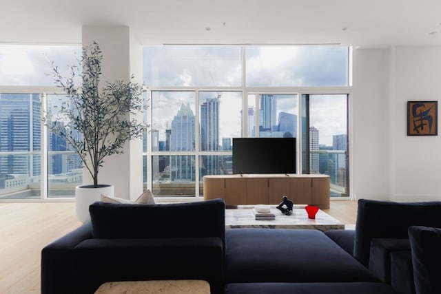 living room with a wall of windows and hardwood / wood-style floors