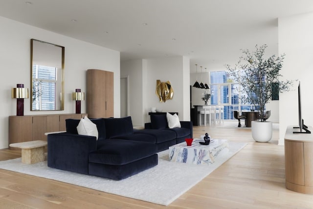 living room featuring light hardwood / wood-style flooring