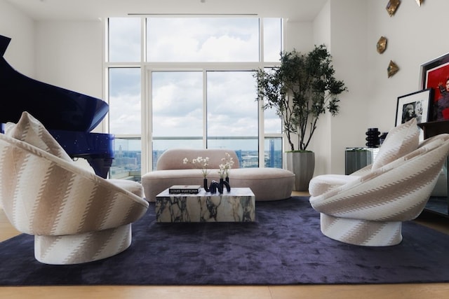 living room with expansive windows