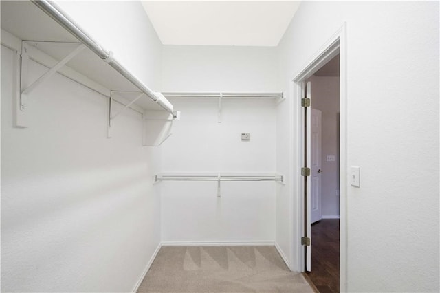 walk in closet with carpet flooring