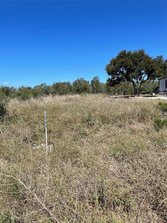 146 La Flor Dr, Dale, TX 78616 - photo 2