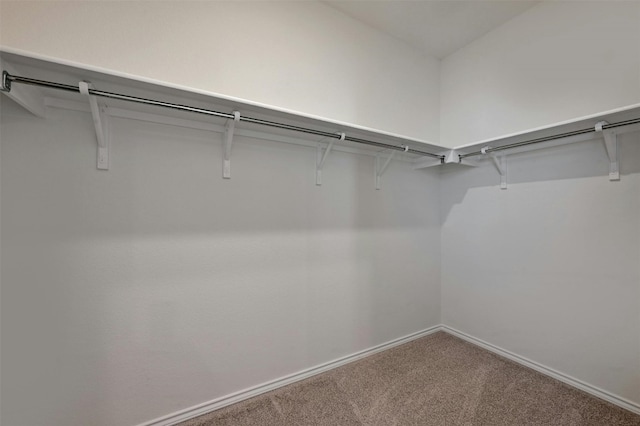 walk in closet featuring carpet