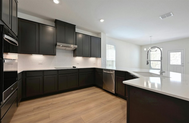 kitchen featuring light hardwood / wood-style floors, a healthy amount of sunlight, sink, and stainless steel appliances