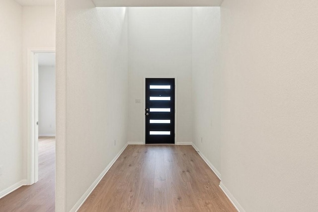 foyer entrance featuring light hardwood / wood-style flooring