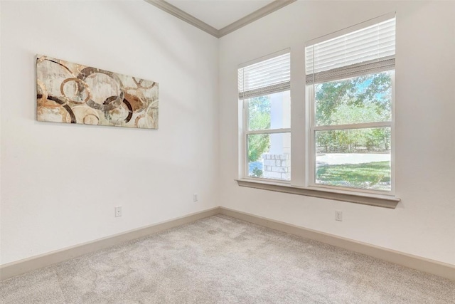 carpeted spare room featuring ornamental molding