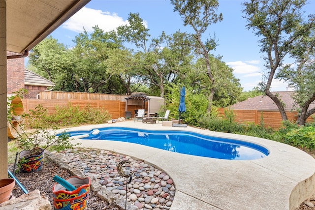 view of swimming pool featuring a patio